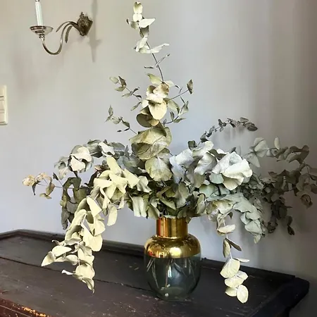 Schloss Welsdorf Apartment *