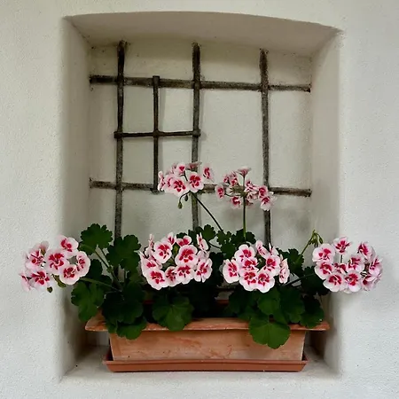 Schloss Welsdorf Apartment *