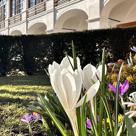 Apartment Schloss Welsdorf *