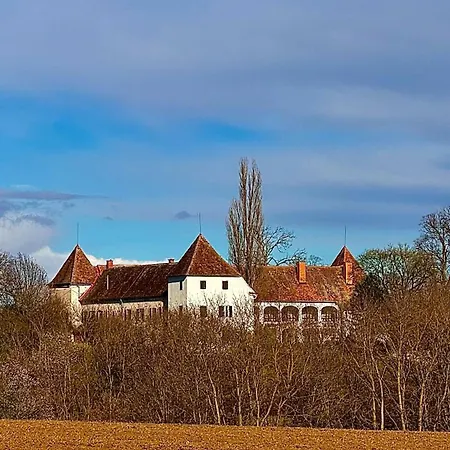 Apartment Schloss Welsdorf