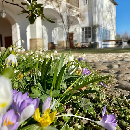 Schloss Welsdorf * Fuerstenfeld