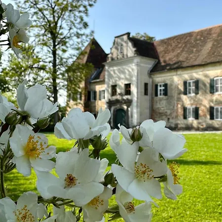 Apartmán Schloss Welsdorf *