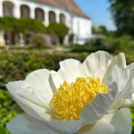 Schloss Welsdorf Apartmán *