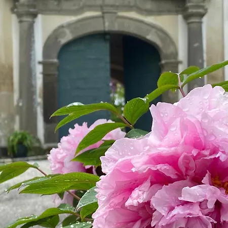 Apartamento Schloss Welsdorf *