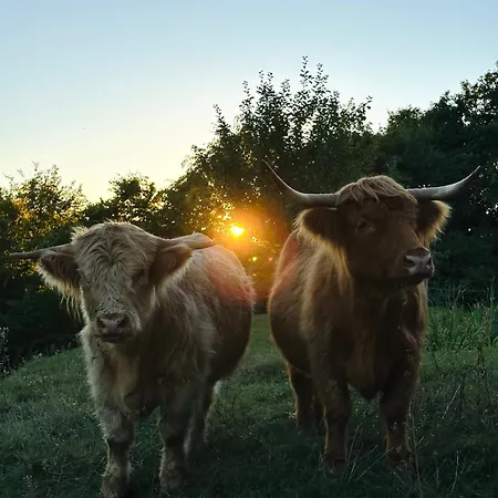 דירה Schloss Welsdorf