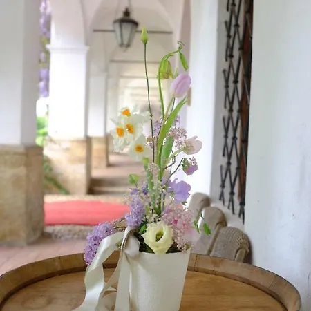 Schloss Welsdorf דירה *