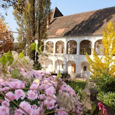 Schloss Welsdorf 公寓 菲尔斯滕费尔德