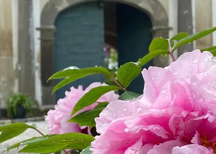 Apartment Schloss Welsdorf *