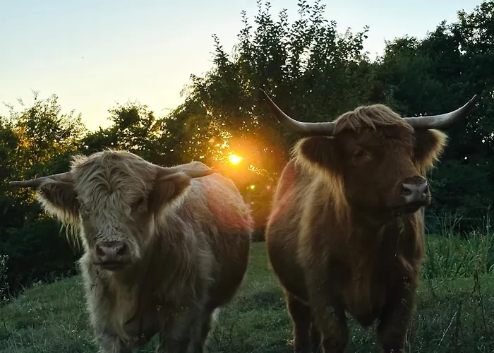 Appartement Schloss Welsdorf